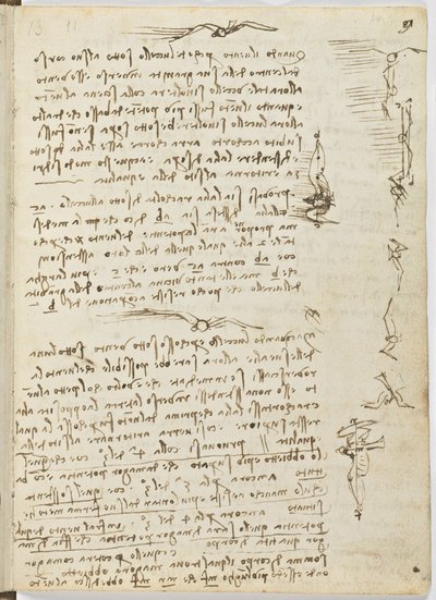 Code sur le vol des oiseaux, c. 1505-06, manuscrit sur papier, cc. 18, feuille 9 recto - Leonardo da Vinci